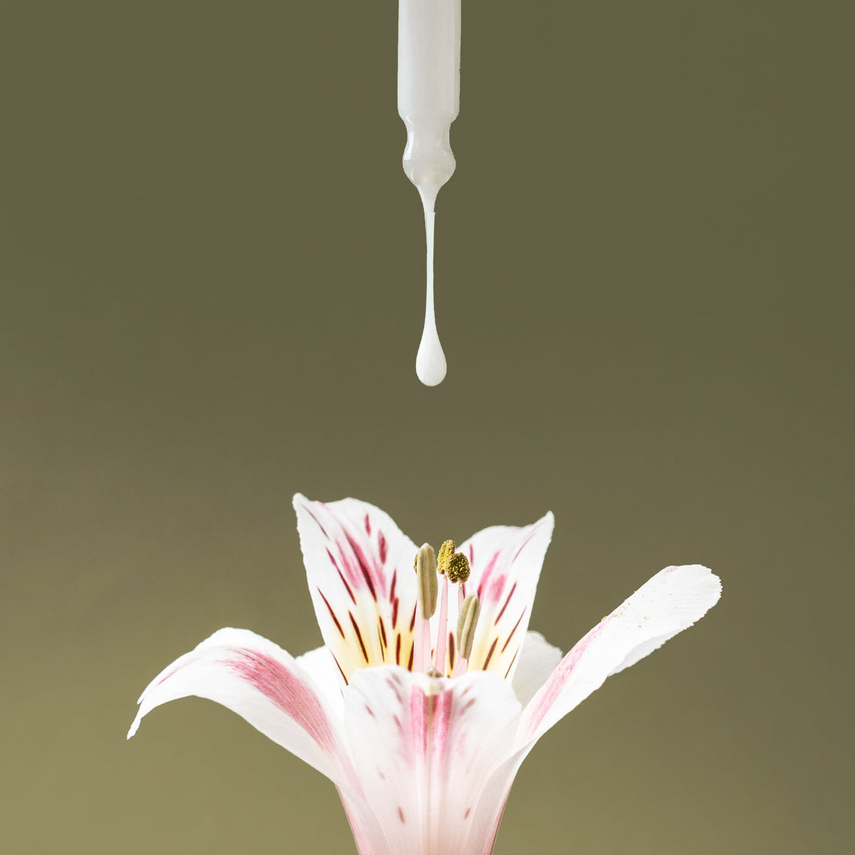 Skin Memory Serum — Deep Cellular Regeneration | IDEO Skincare